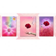 EMMA WERTHEIM COLLECTION Yoga Rose